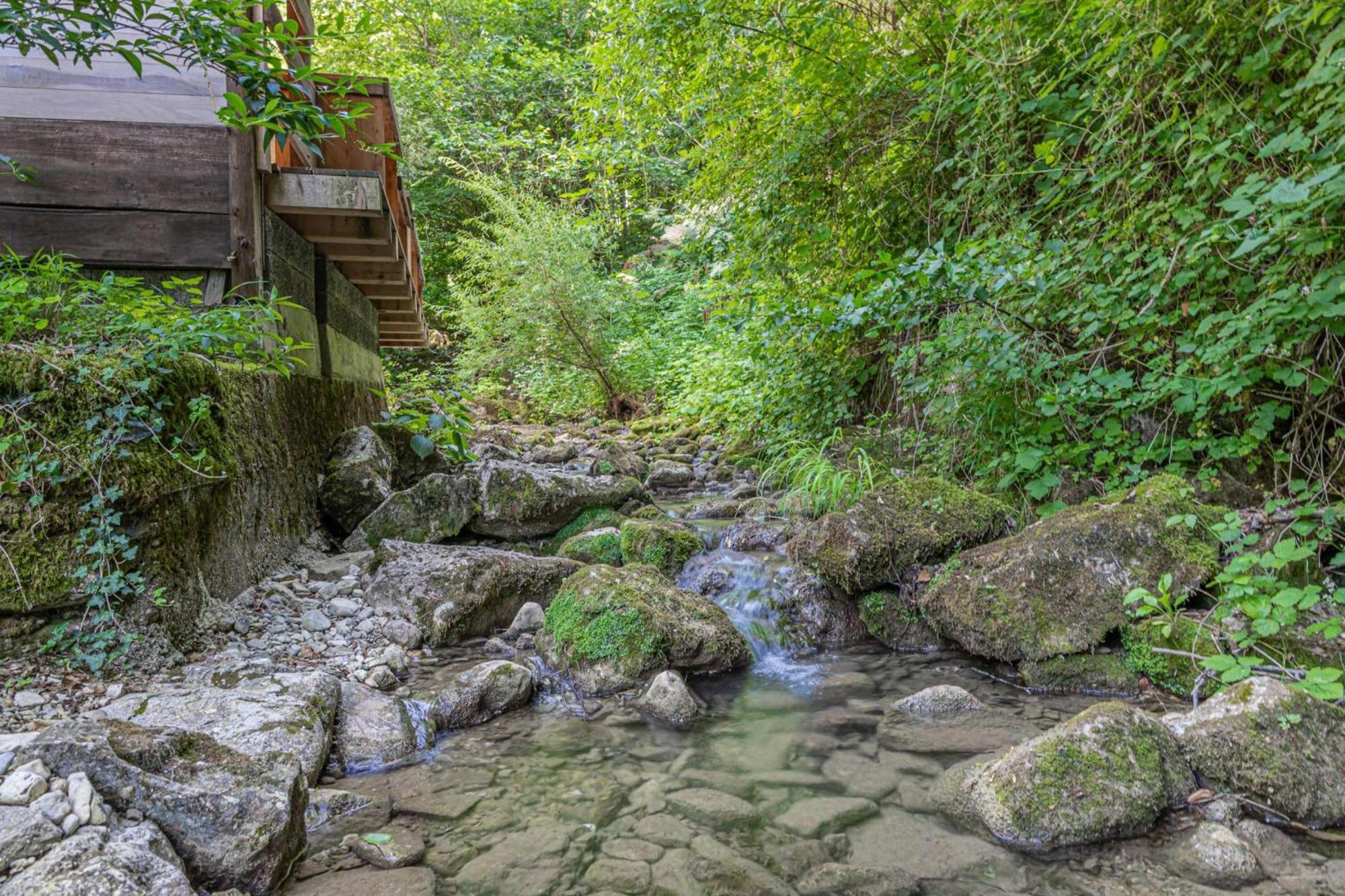 House By The Stream - Happy Rentals Avce Exteriér fotografie
