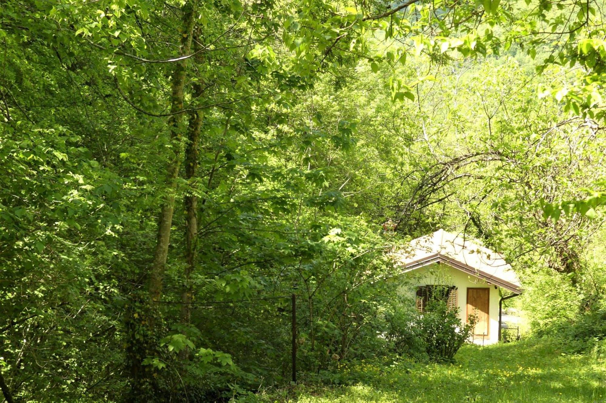 House By The Stream - Happy Rentals Avce Exteriér fotografie